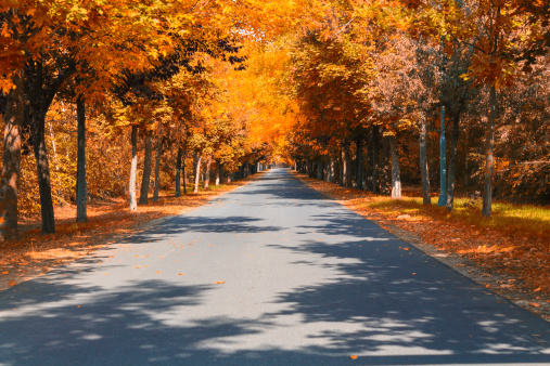 Autumn road,Hungary