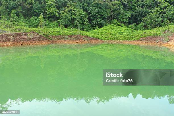 Jezioro Leśne - zdjęcia stockowe i więcej obrazów Azja - Azja, Bez ludzi, Drzewo