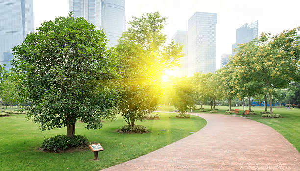 istock city park with modern building background in shanghai 465943904