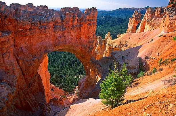 Natural Bridge in Bryce Canyon National Park