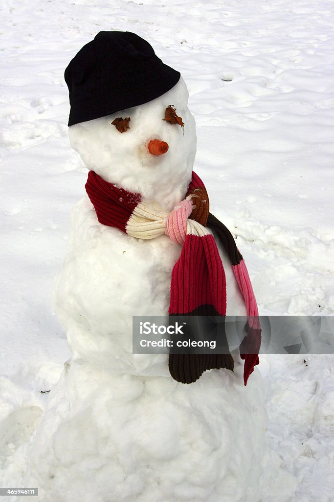 Muñeco de nieve - Foto de stock de Adoquinado libre de derechos