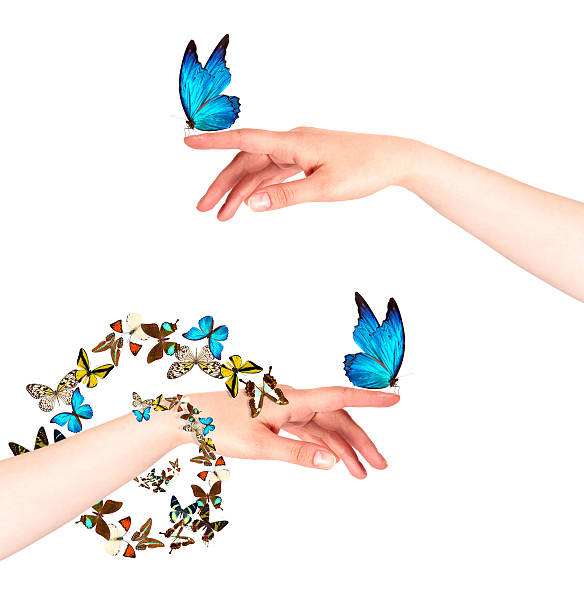 istock butterfly on woman's hand. In motion 465952641