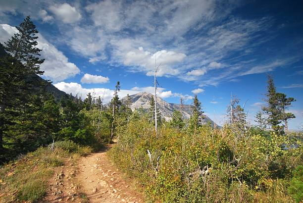 istock Waterton National Park in Canada 465953057