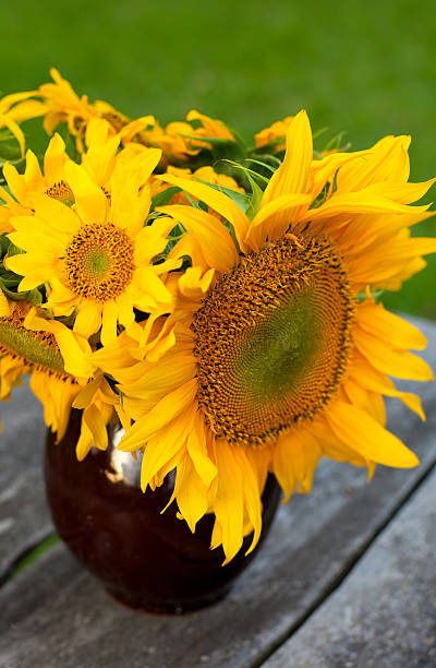 istock sunflowers on wooden table 465959087