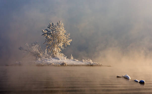 Wyspa in the fog – zdjęcie