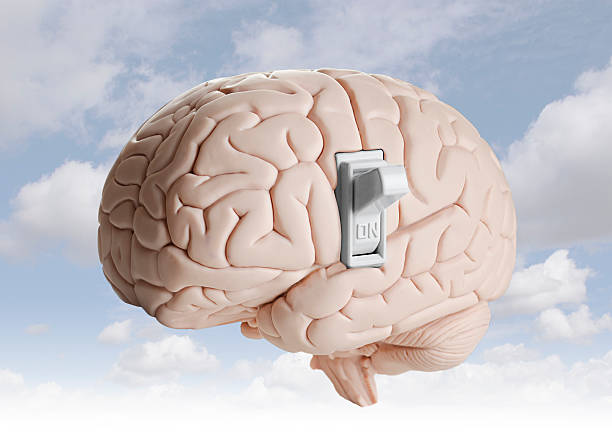 A brain and a light switch symbolizing brain power stock photo