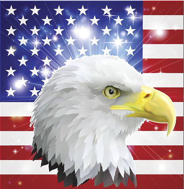 아메리칸이글 플래깅 - symbol military star eagle stock illustrations