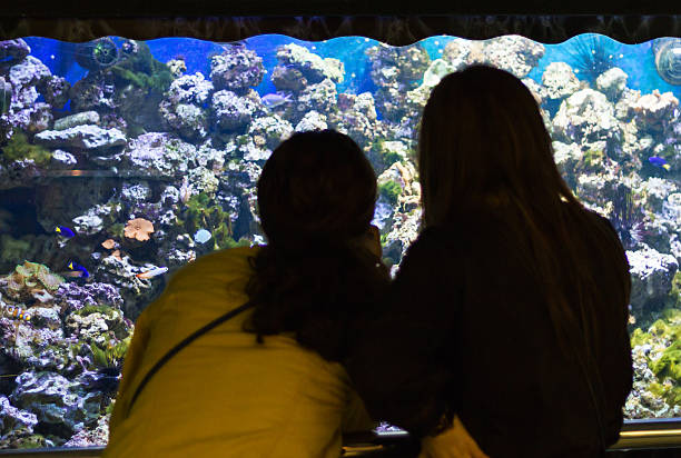 istock Women looking at a aquarium 465960279