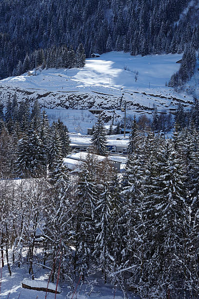 istock Ticino, Switzerland - Winter landscape with conifers 465961538