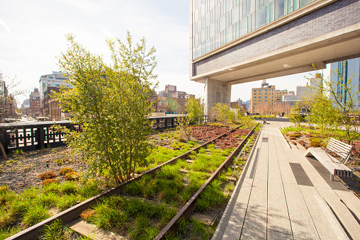 The High Line is a popular linear park built on the elevated train tracks
