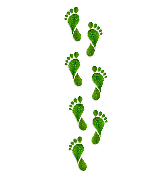 istock Green leaves footprint 465971586