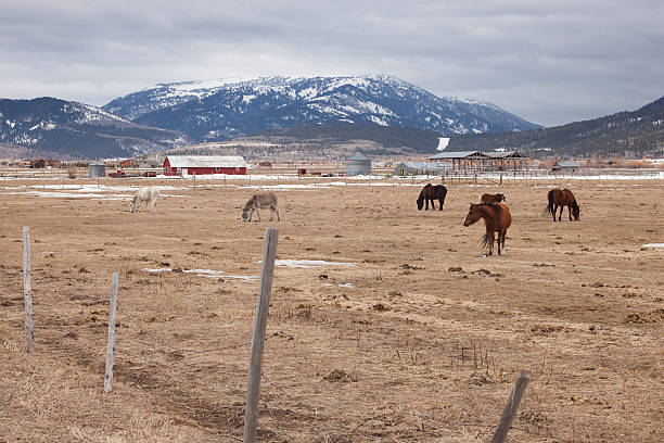 idaho ranch paysage de montagne - teton range grand teton national park mountain rural scene photos et images de collection