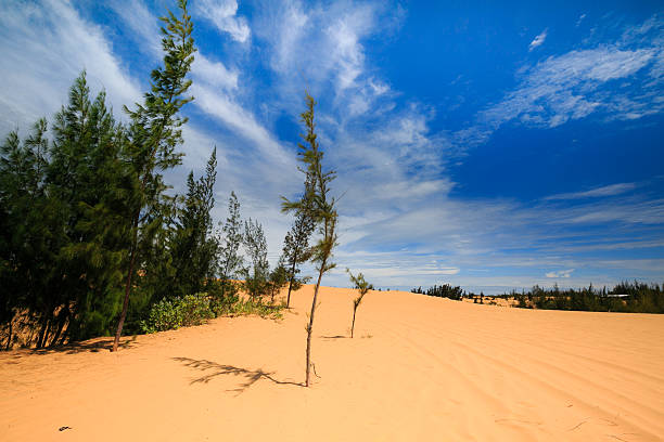 sand hills in phan thiet-vietnam - ubari stock-fotos und bilder