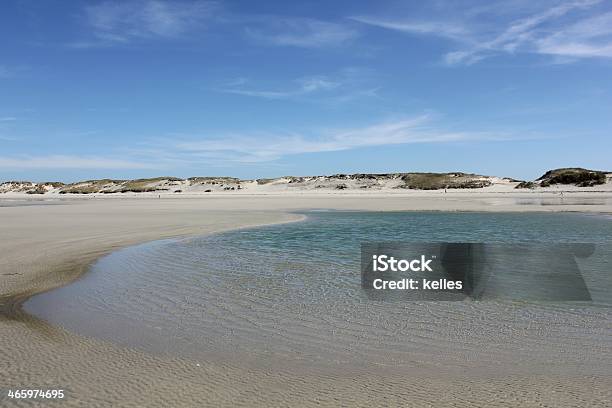 Strand Nahe Penmarch In Der Bretagne Frankreich Stockfoto und mehr Bilder von Alge - Alge, Atlantik, Bretagne