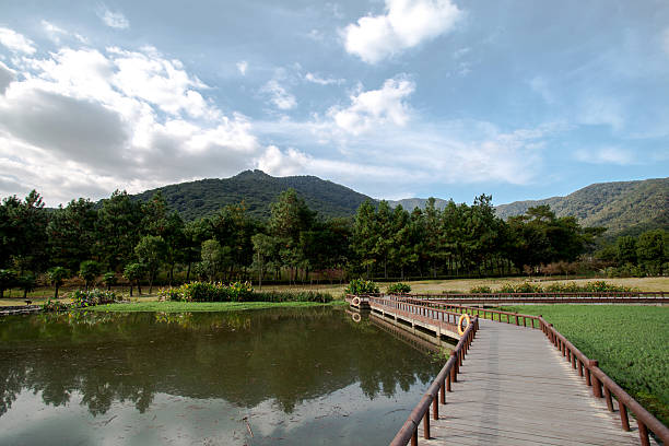 istock plank road, pond and hills 465977448