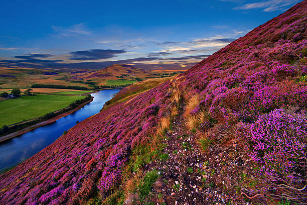 istock Beautiful landscape of scottish nature 465977690