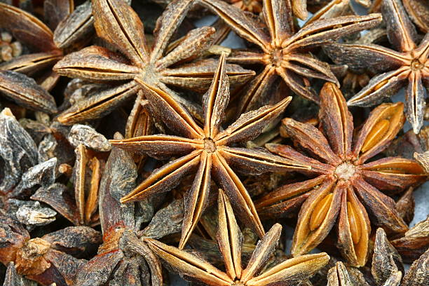 istock close up Anise in Thailand 465978700