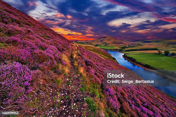 Beautiful Landscape Of Scottish Nature Stock Photo - Download Image Now - Scotland, Landscape - Scenery, Multi Colored