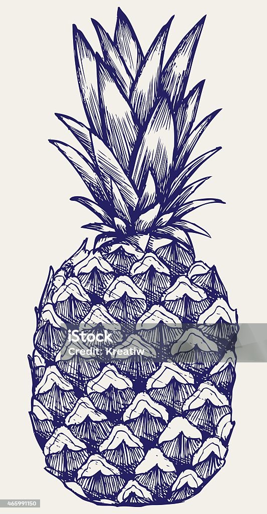 Ripe tasty pineapple Ripe tasty pineapple. Doodle style 2015 stock vector