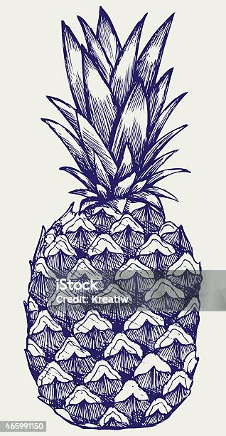 Ripe Tasty Pineapple Stock Illustration - Download Image Now - 2015, Art, Art And Craft