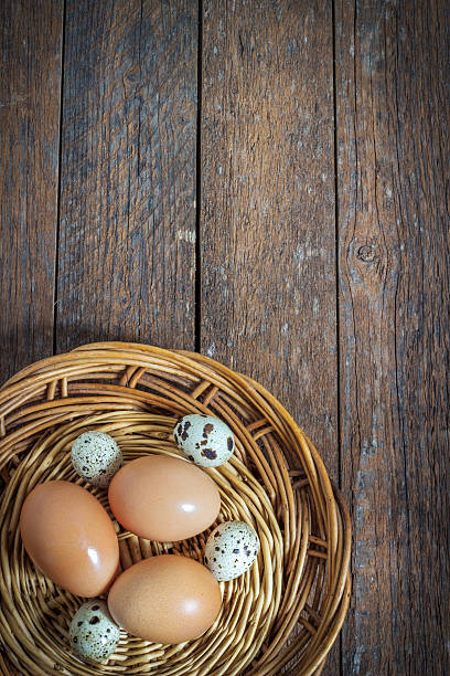 pollo e uova di quaglia - agriculture brown burlap cholesterol foto e immagini stock