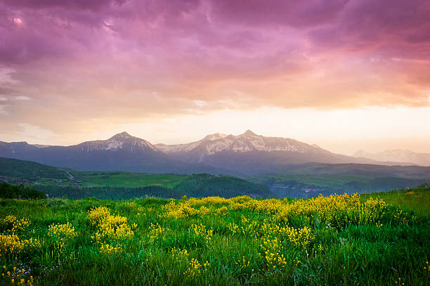 Mount Wilson Sunset Sunset over a Colorado meadow and Mount Wilson in Telluride, Colorado national forest stock pictures, royalty-free photos & images