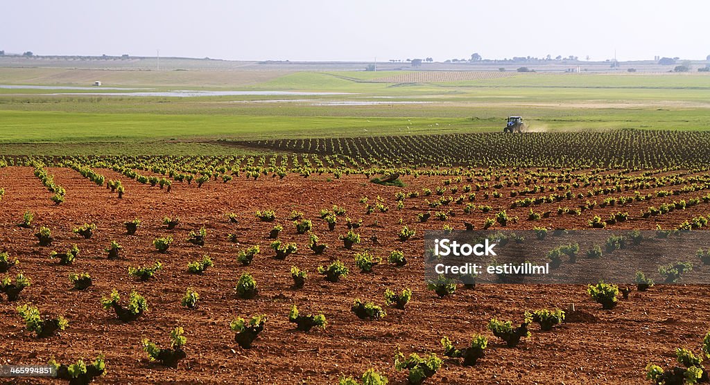 Farming tractor plowing and spraying fields Agricultural Field Stock Photo