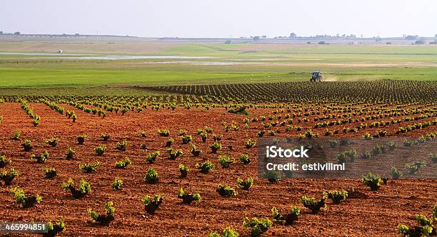 Farming Tractor Plowing And Spraying Fields Stock Photo - Download Image Now - Agricultural Field, Agricultural Machinery, Agriculture