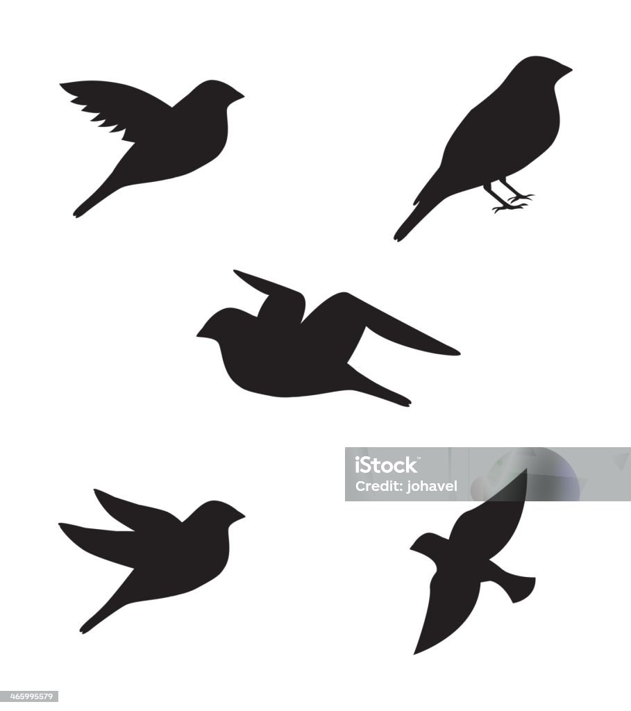 Love Design Valentine`s Day Design, Vector Illustration Bird stock vector