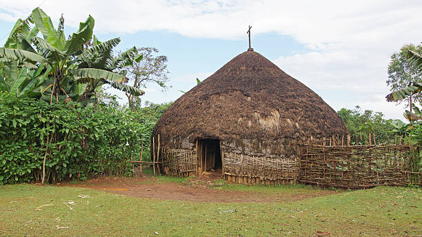 istock Sidama, Ethiopia, Africa 465996030
