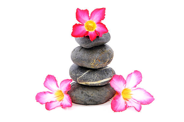 istock Stones and Flowers 465999508
