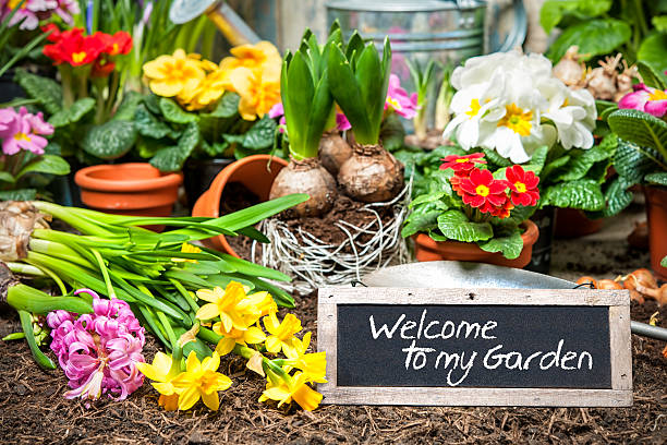 istock Welcome to my garden 465999726