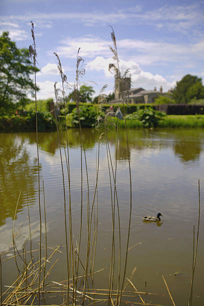 church a church reflected in a lake coughton stock pictures, royalty-free photos & images