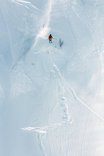 istock Skier in deep powder, extreme freeride 466001337