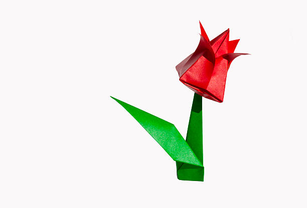 istock Origami flower red tulip isolated on white 466003773