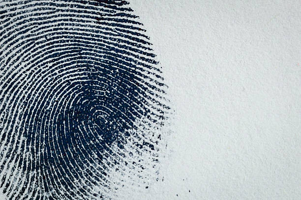 Ink Fingerprint on paper 05 Thumbprint on paper. Macro. fingerprint photos stock pictures, royalty-free photos & images