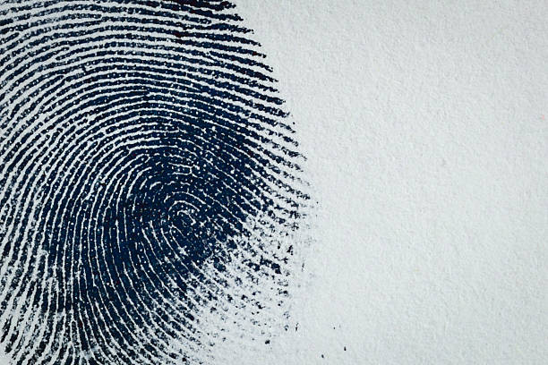 tinta de impressão digital em papel 05 - thumbprint imagens e fotografias de stock