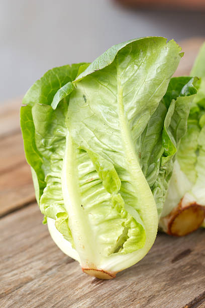 istock Organic vegetables  on wooden background. 466004392