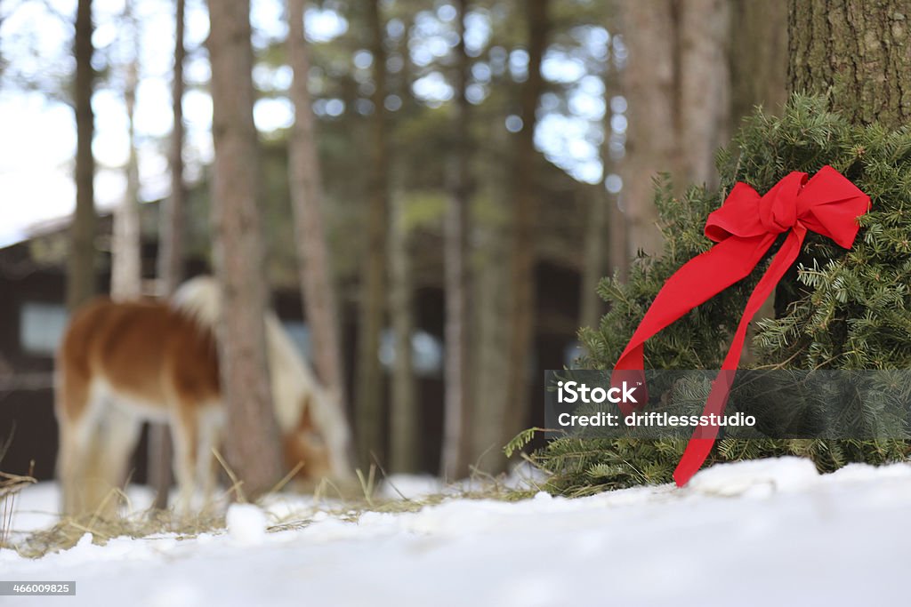 Couronne de Noël dans une ferme et cheval dans l'arrière-plan - Photo de Cheval libre de droits