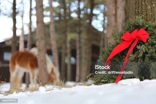 Photo libre de droit de Couronne De Noël Dans Une Ferme Et Cheval Dans Larrièreplan banque d'images et plus d'images libres de droit de Cheval