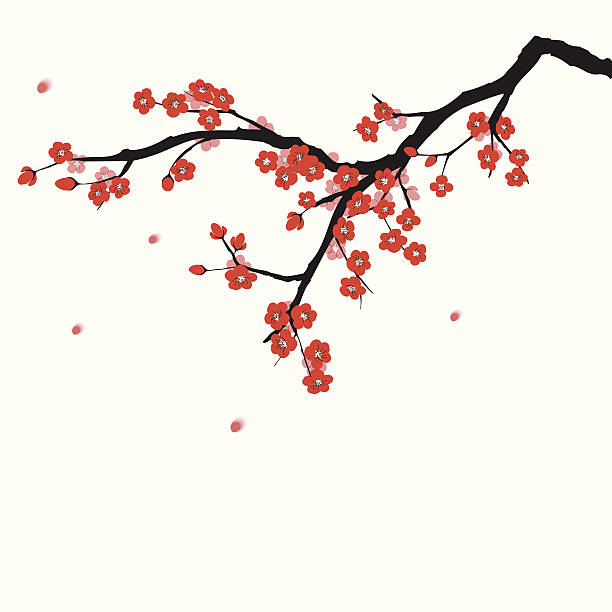 Plum blossom Plum blooming tree in Oriental painting style single flower flower black blossom stock illustrations