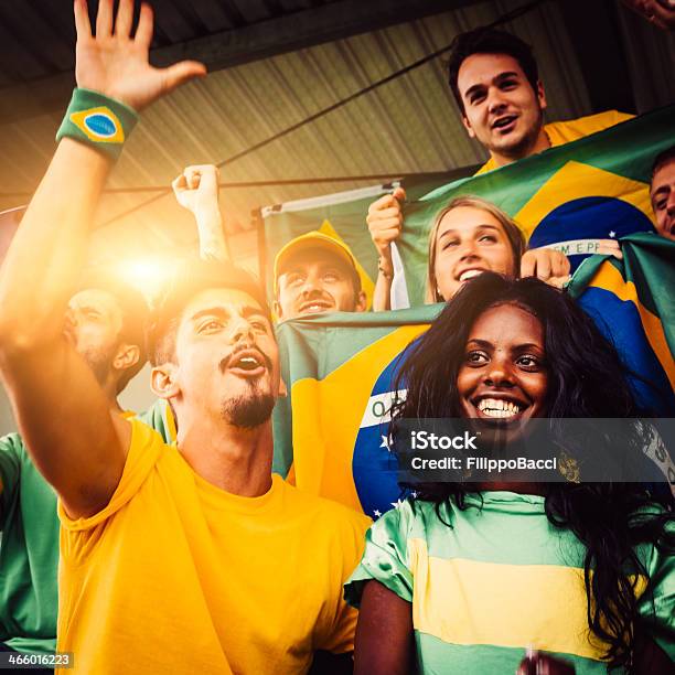 Brasilianische Fan Im Stadion Stockfoto und mehr Bilder von 2014 - 2014, Afrikanische Kultur, Afrikanischer Abstammung