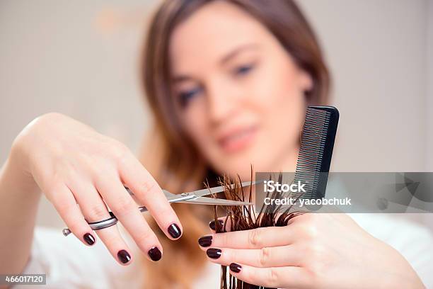 Beautiful Woman In Hair Salon Stock Photo - Download Image Now - 2015, Adult, Beautician