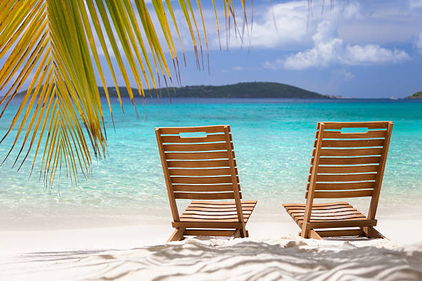 istock chairs under a palm tree at the Caribbean beach 466018511