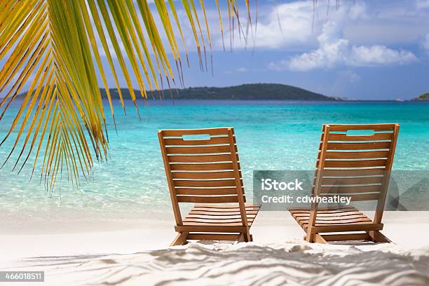 Chairs Under A Palm Tree At The Caribbean Beach Stock Photo - Download Image Now - Beach, Blue, Caribbean