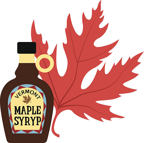 ilustrações, clipart, desenhos animados e ícones de xarope de bordo de cor - maple leaf maple tree maple leaf