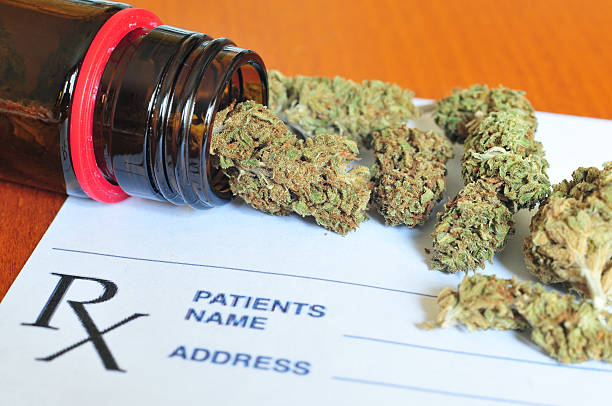 Dry medical marijuana buds stock photo