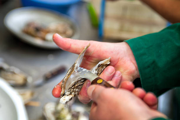 istock Splitting open an oyster with an oyster knife 466027452