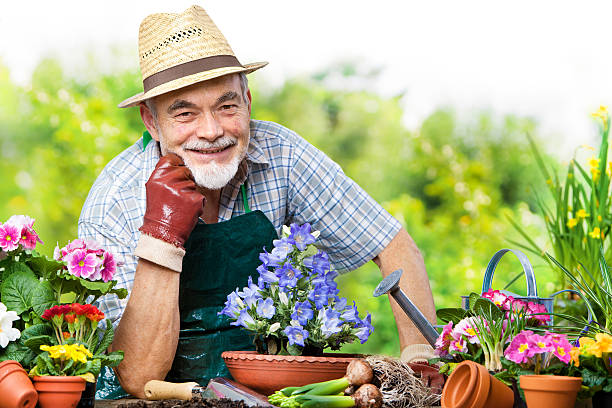 istock Senior in the flower garden 466028900