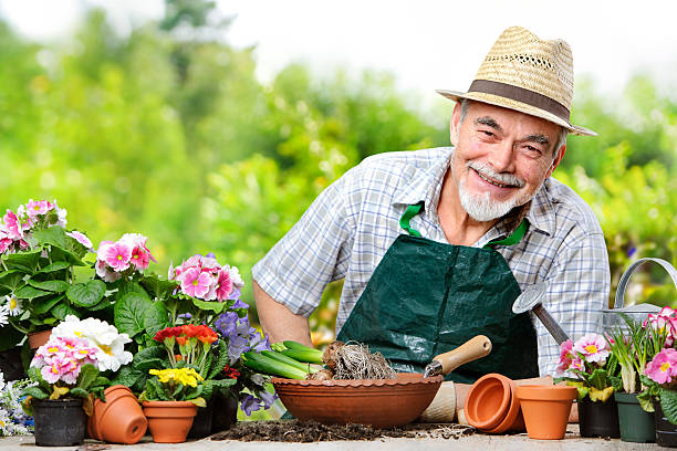 istock Senior in the flower garden 466028934
